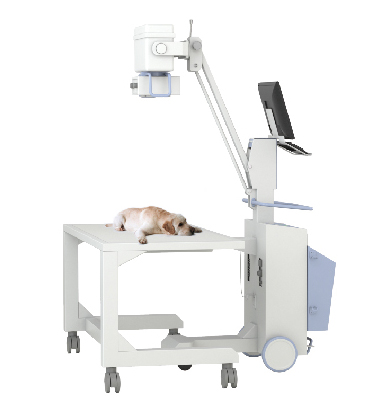  Series (Vet Mobile Digital Radiography System) ANTONDR1010V