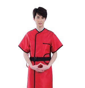 Apron with Sleeves